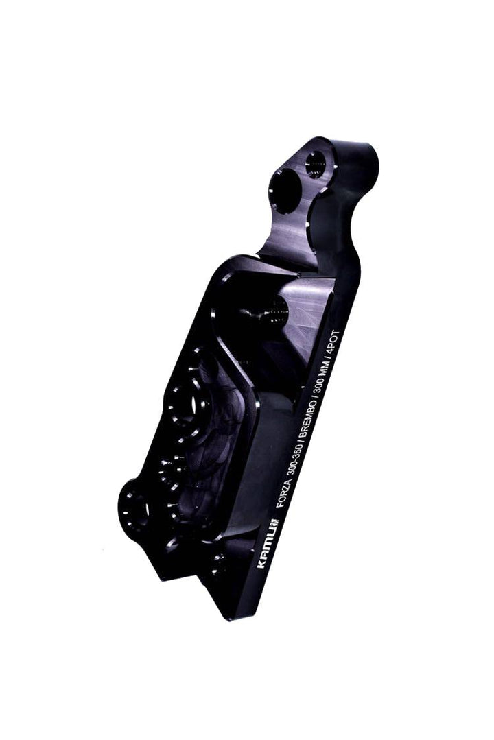 KAMUI caliper, Brembo4Pot front brake pump, close-ear, 300 MM disc, Forza350 model