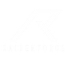Raiden Force